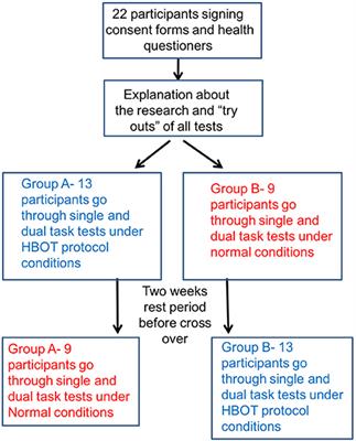 Hyperbaric Oxygen Environment Can Enhance Brain Activity and Multitasking Performance